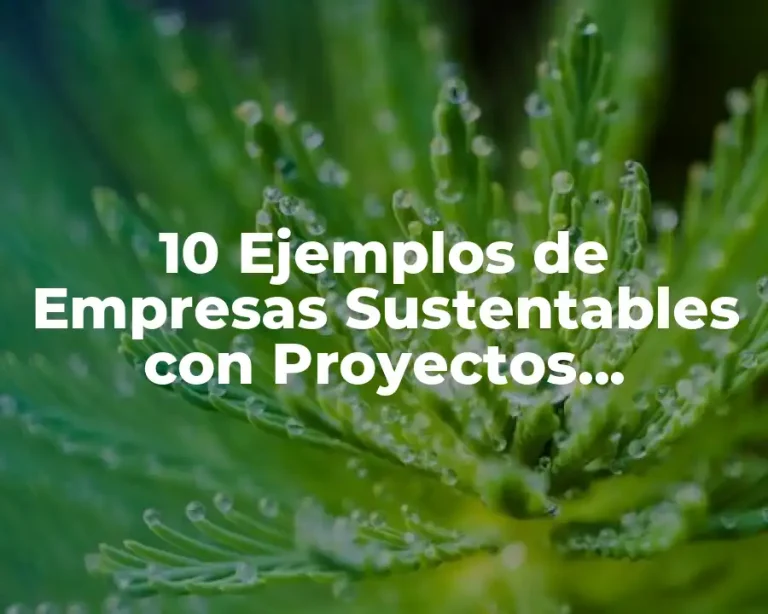 10 Ejemplos de Empresas Sustentables con Proyectos Sustentables Vigentes