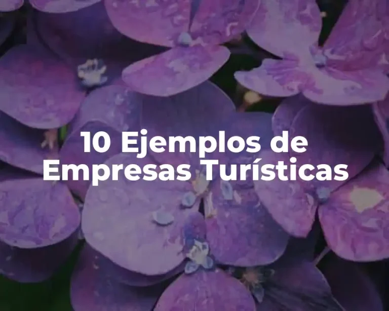 10 Ejemplos de Empresas Turísticas