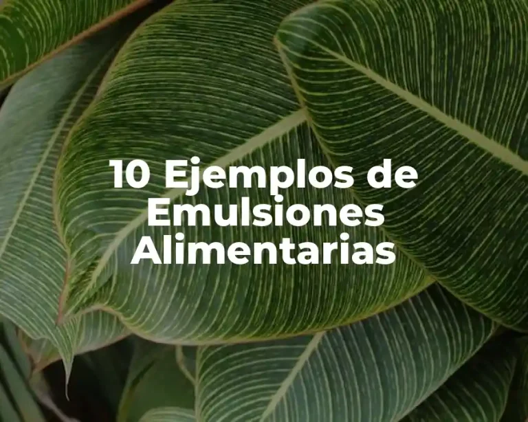 10 Ejemplos de Emulsiones Alimentarias
