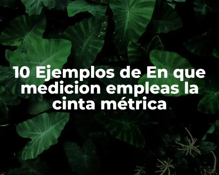 10 Ejemplos de En que medicion empleas la cinta métrica