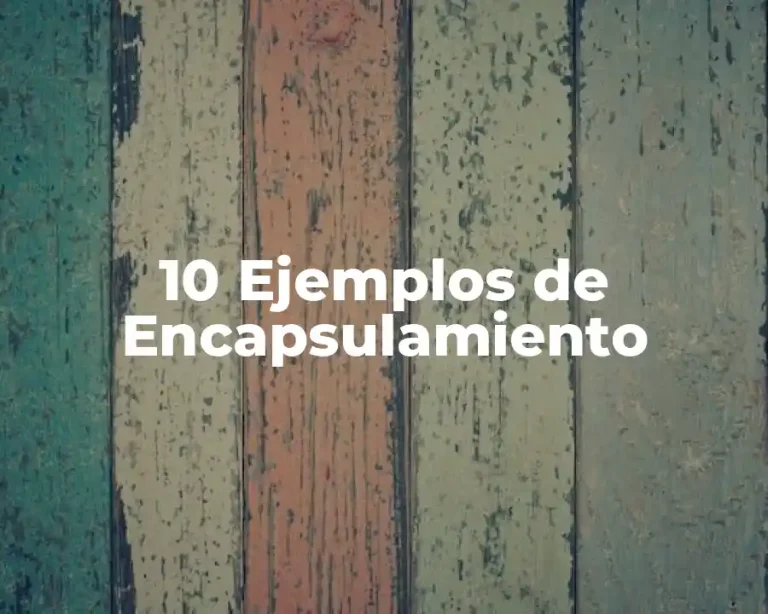 10 Ejemplos de Encapsulamiento