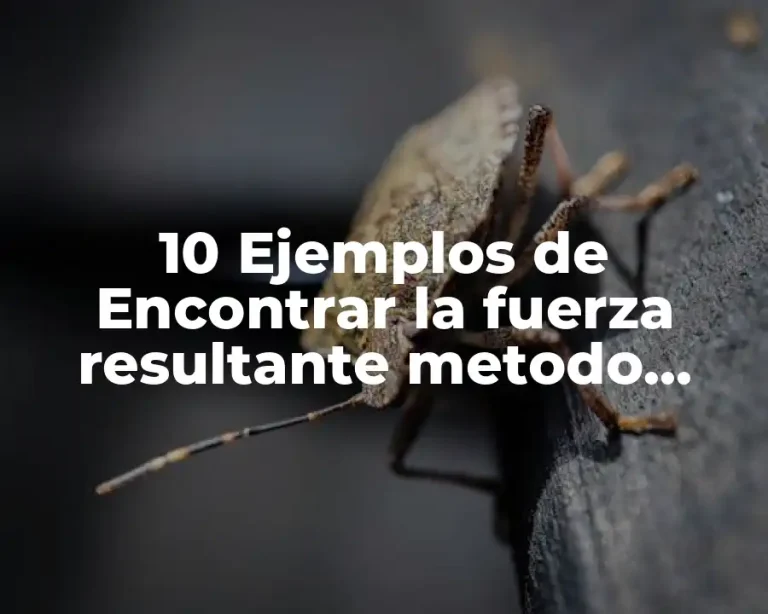 10 Ejemplos de Encontrar la fuerza resultante metodo analítico