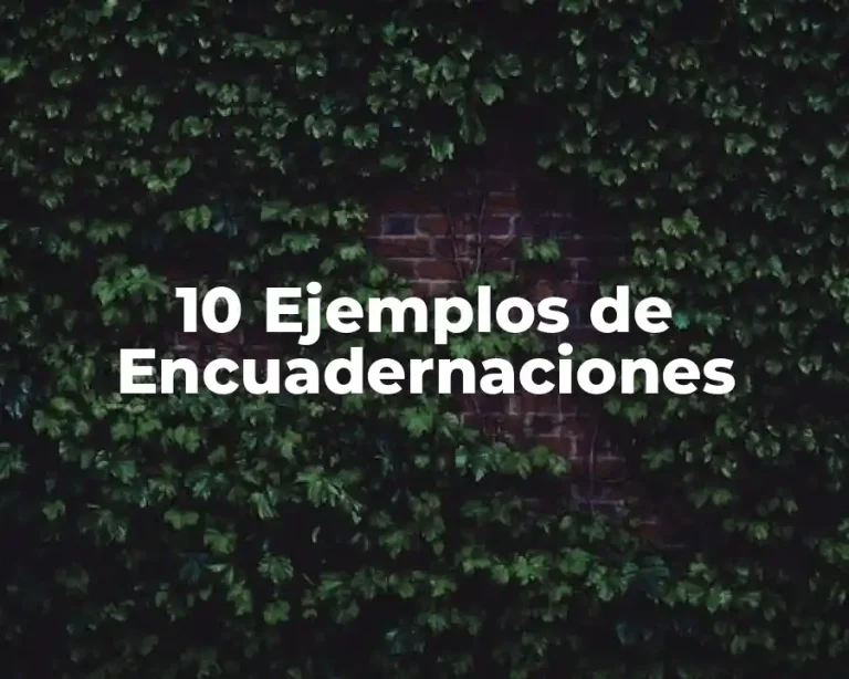 10 Ejemplos de Encuadernaciones