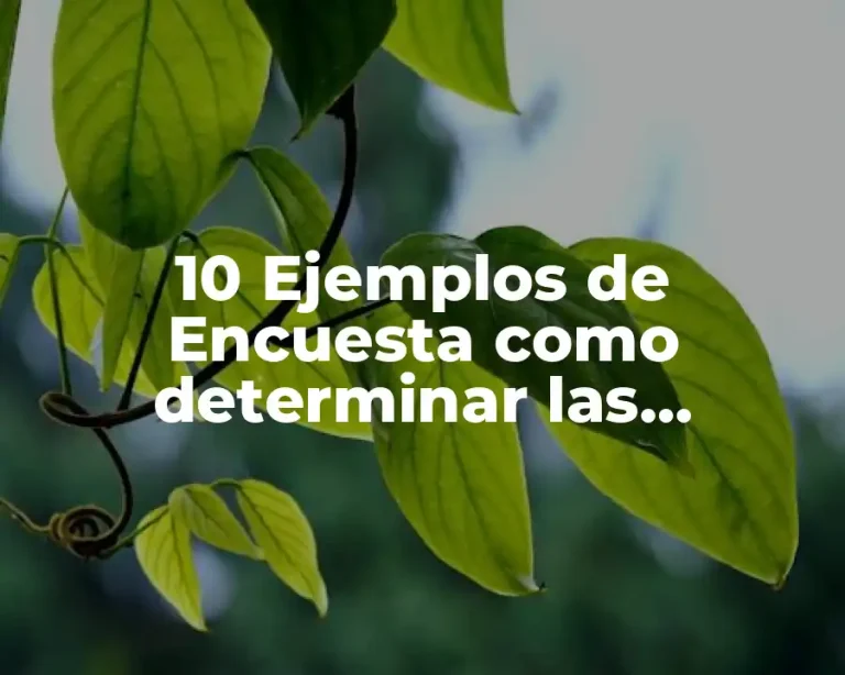 10 Ejemplos de Encuesta como determinar las necesidades de capacitacion
