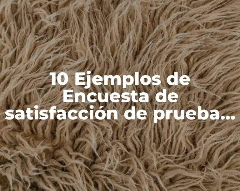 10 Ejemplos de Encuesta de satisfacción de prueba demo