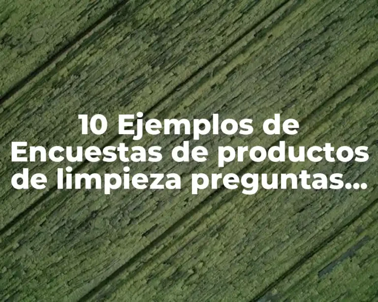 10 Ejemplos de Encuestas de productos de limpieza preguntas cerradas