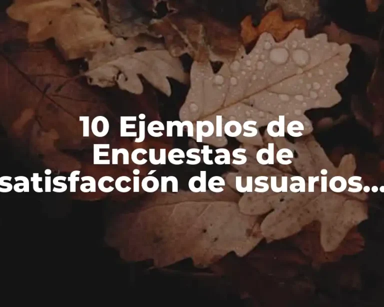 10 Ejemplos de Encuestas de satisfacción de usuarios en programas sociales