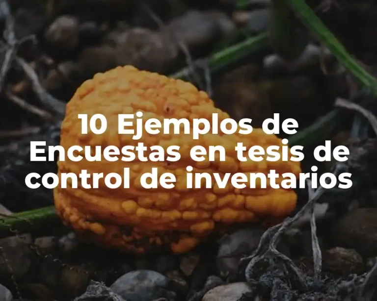 10 Ejemplos de Encuestas en tesis de control de inventarios