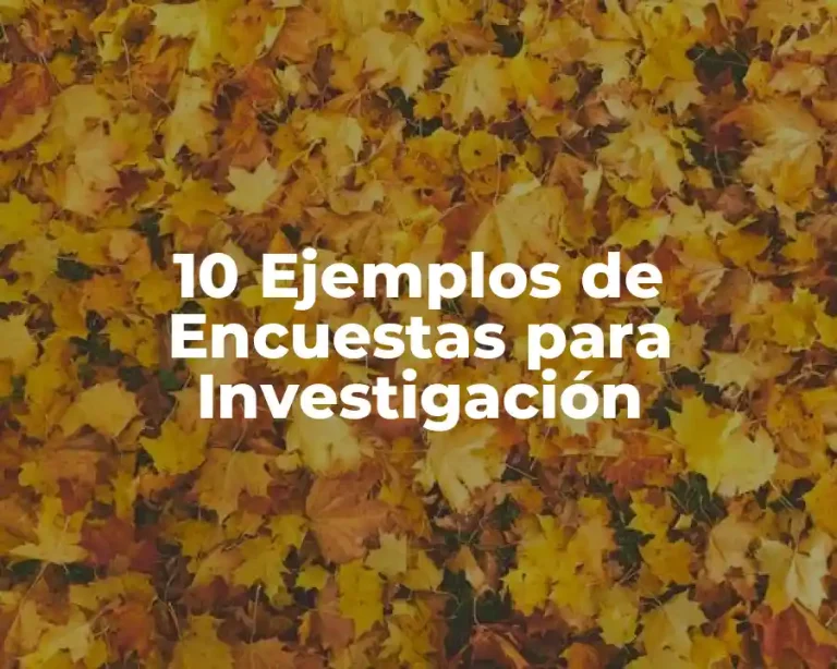 10 Ejemplos de Encuestas para Investigación