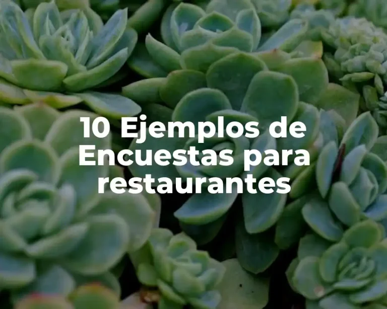 10 Ejemplos de Encuestas para restaurantes