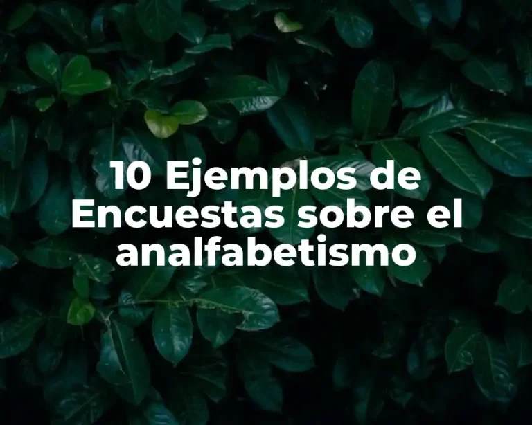 10 Ejemplos de Encuestas sobre el analfabetismo