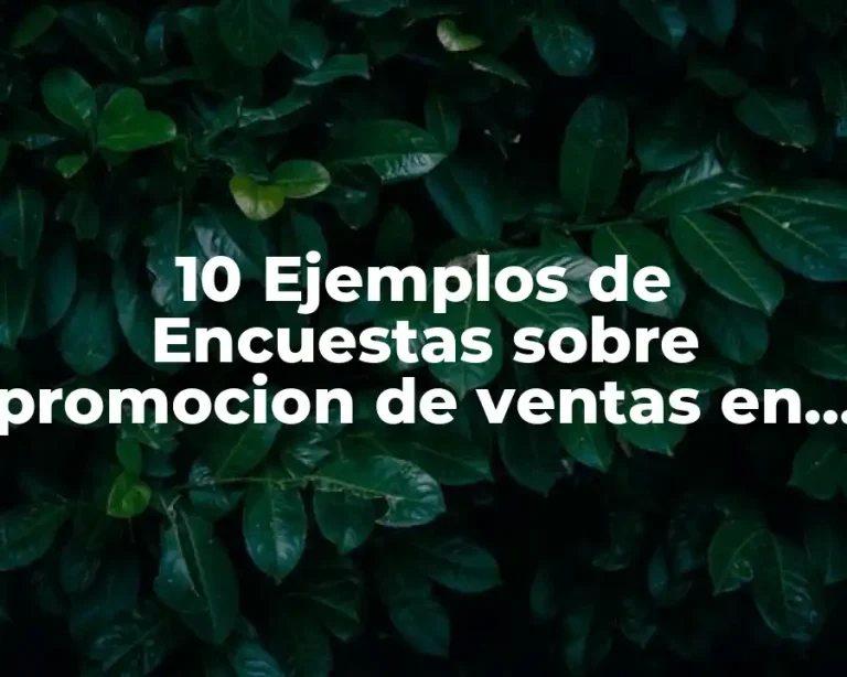 10 Ejemplos de Encuestas sobre promocion de ventas en una pasteleria