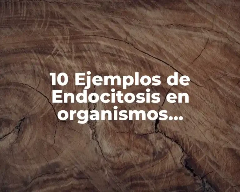 10 Ejemplos de Endocitosis en organismos unicelulares