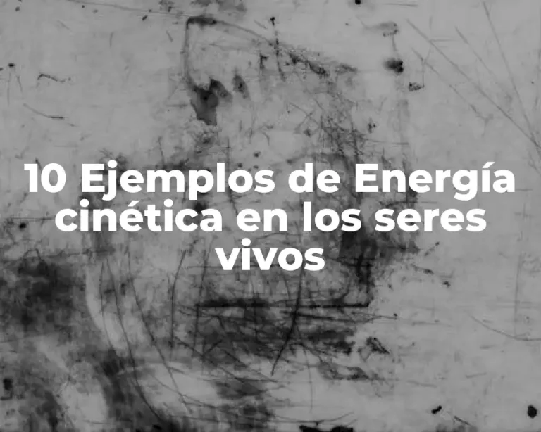 10 Ejemplos de Energía cinética en los seres vivos