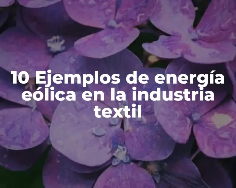 10 Ejemplos de energía eólica en la industria textil