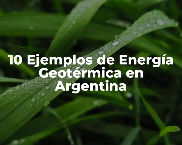 10 Ejemplos de Energía Geotérmica en Argentina