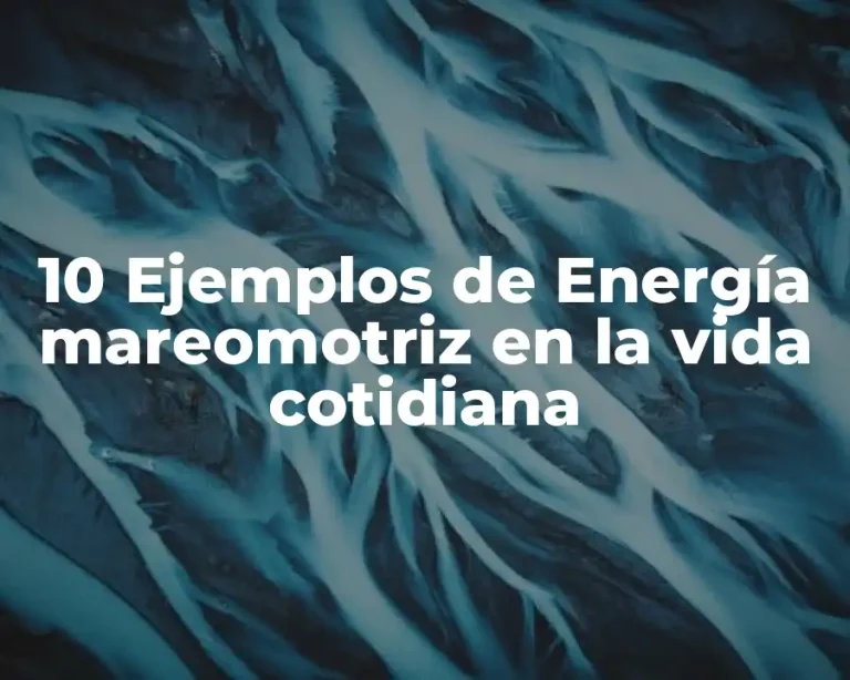 10 Ejemplos de Energía mareomotriz en la vida cotidiana