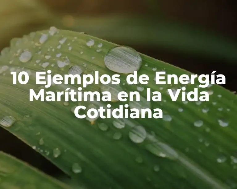 10 Ejemplos de Energía Marítima en la Vida Cotidiana