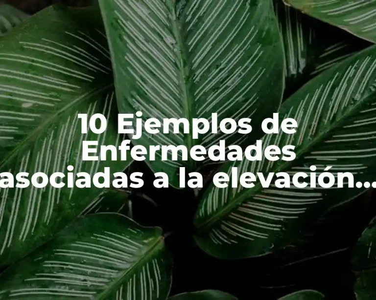 10 Ejemplos de Enfermedades asociadas a la elevación de las isoenzimas