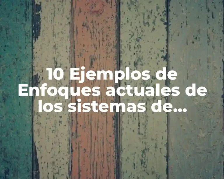 10 Ejemplos de Enfoques actuales de los sistemas de información