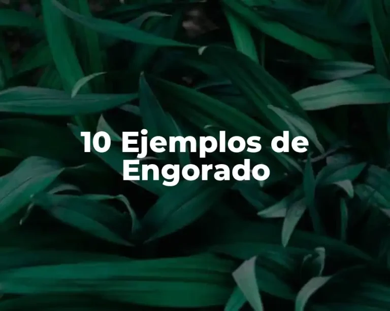10 Ejemplos de Engorado