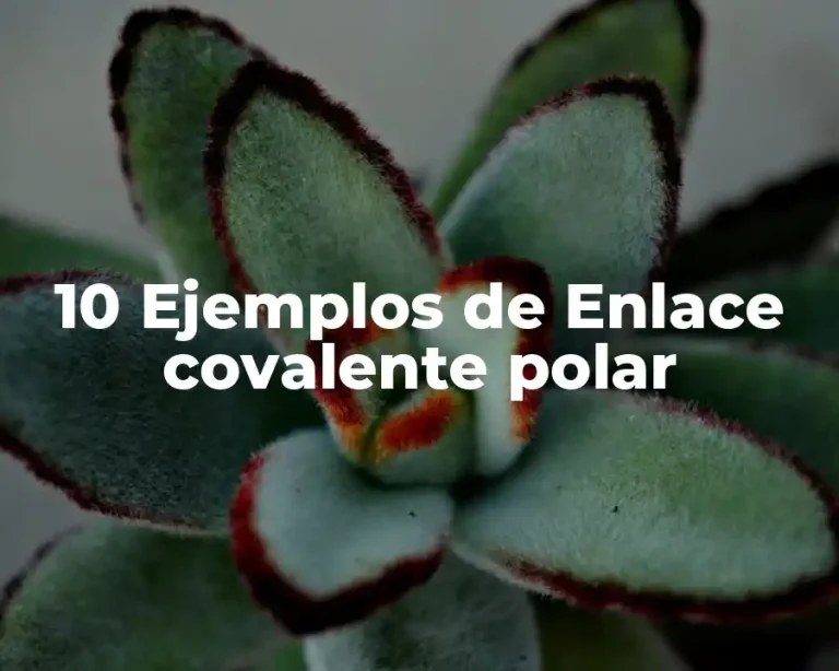 10 Ejemplos de Enlace covalente polar
