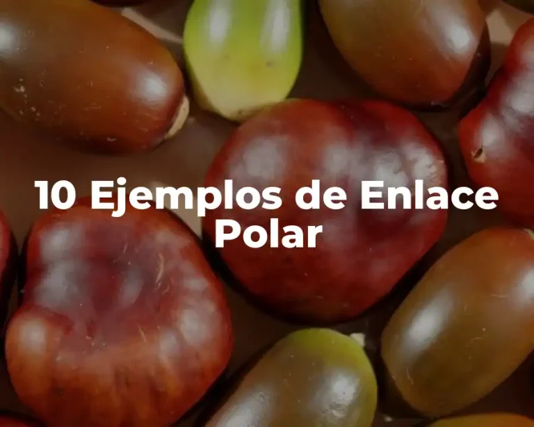 10 Ejemplos de Enlace Polar