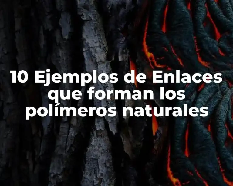 10 Ejemplos de Enlaces que forman los polímeros naturales