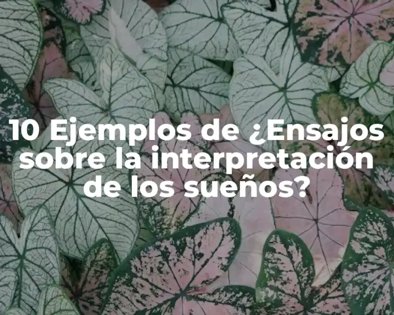 10 Ejemplos de ¿Ensajos sobre la interpretación de los sueños?