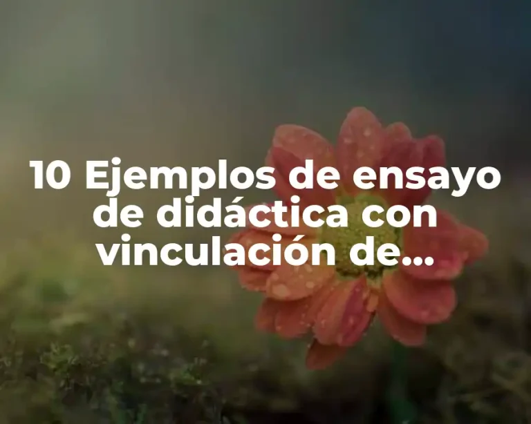 10 Ejemplos de ensayo de didáctica con vinculación de enfermería