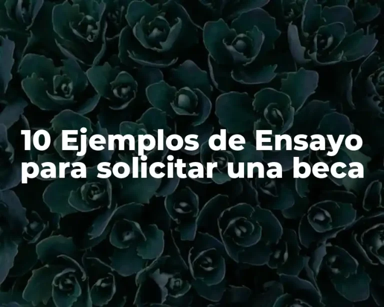 10 Ejemplos de Ensayo para solicitar una beca