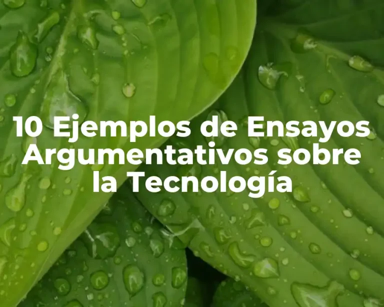 10 Ejemplos de Ensayos Argumentativos sobre la Tecnología