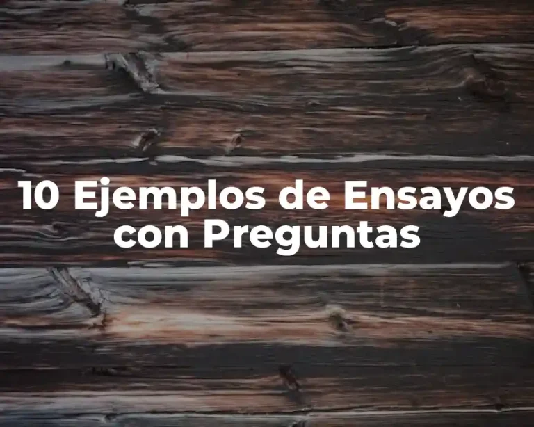 10 Ejemplos de Ensayos con Preguntas