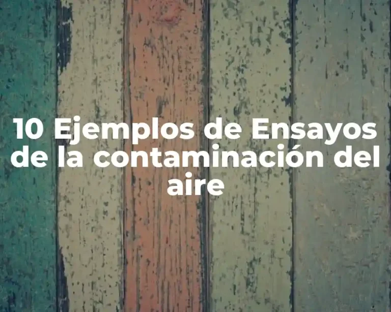 10 Ejemplos de Ensayos de la contaminación del aire