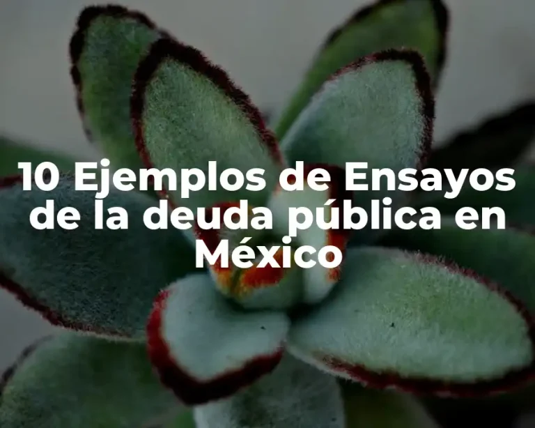 10 Ejemplos de Ensayos de la deuda pública en México