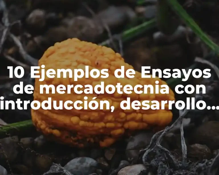10 Ejemplos de Ensayos de mercadotecnia con introducción, desarrollo y conclusión