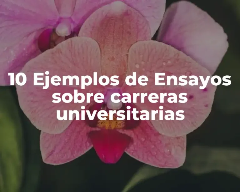 10 Ejemplos de Ensayos sobre carreras universitarias