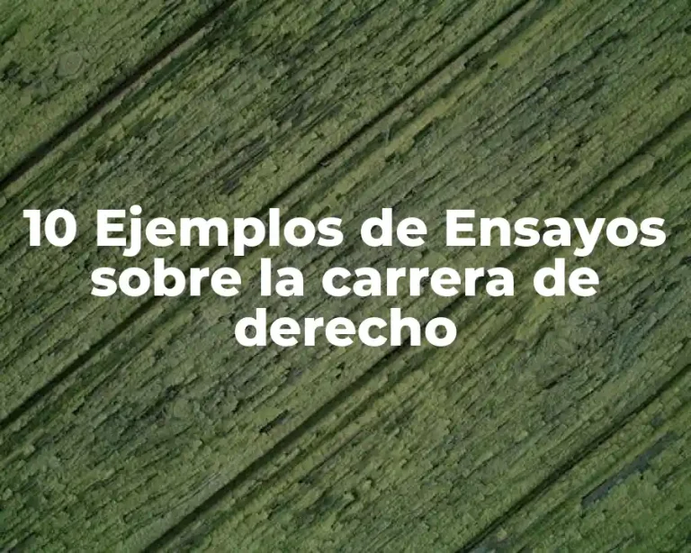 10 Ejemplos de Ensayos sobre la carrera de derecho