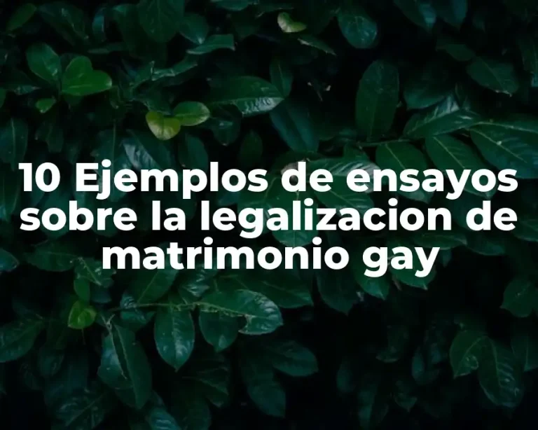 10 Ejemplos de ensayos sobre la legalizacion de matrimonio gay