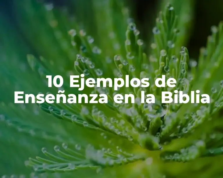10 Ejemplos de Enseñanza en la Biblia