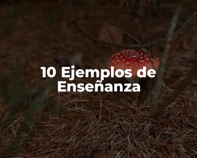 10 Ejemplos de Enseñanza