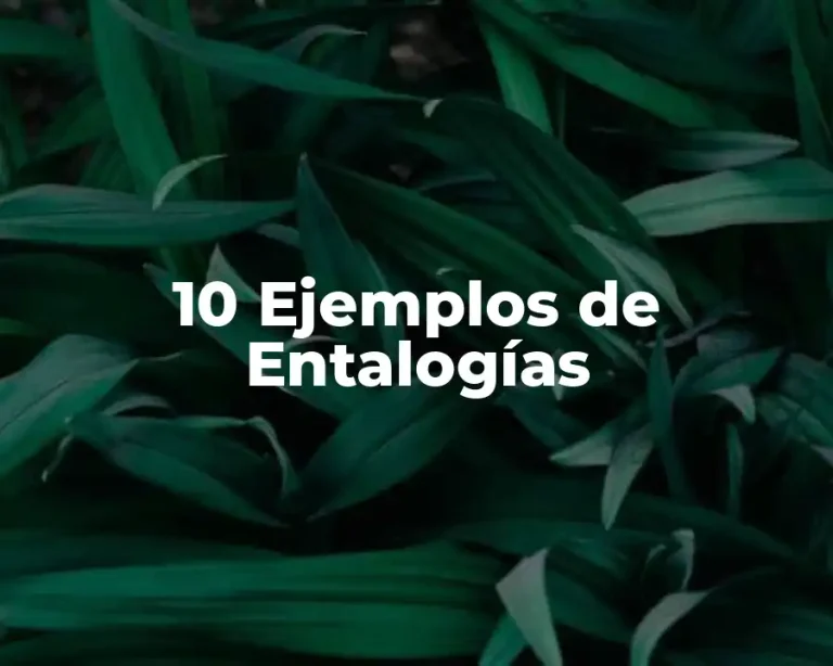10 Ejemplos de Entalogías