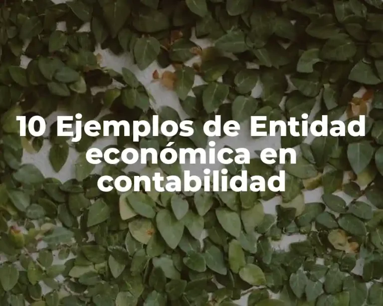 10 Ejemplos de Entidad económica en contabilidad