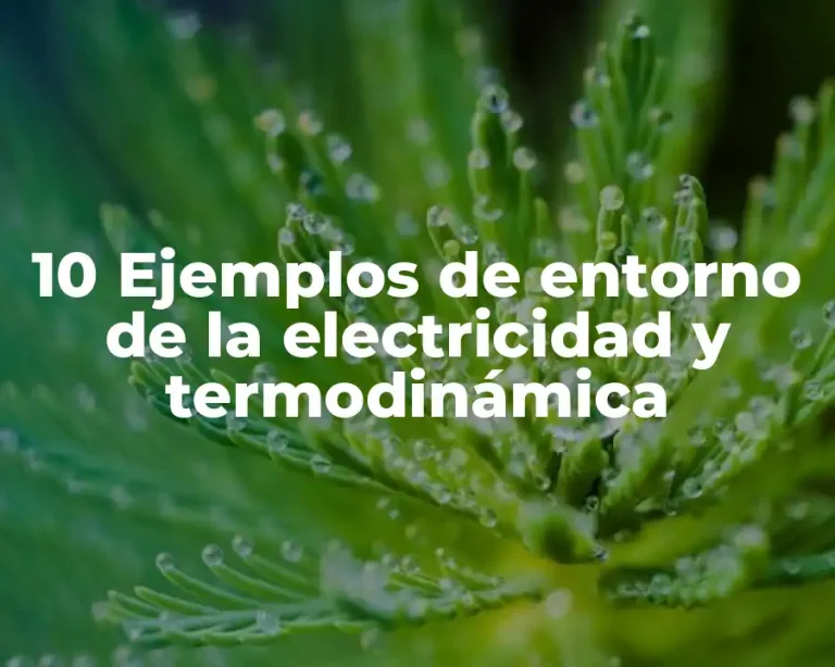 10 Ejemplos de entorno de la electricidad y termodinámica