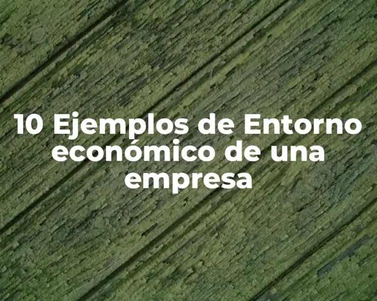 10 Ejemplos de Entorno económico de una empresa