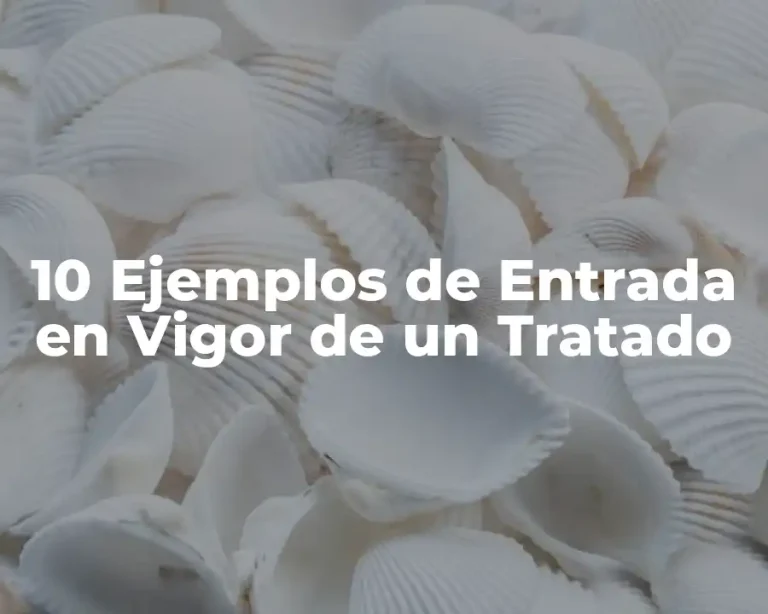 10 Ejemplos de Entrada en Vigor de un Tratado