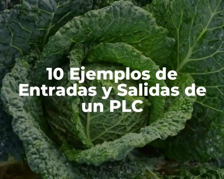 10 Ejemplos de Entradas y Salidas de un PLC