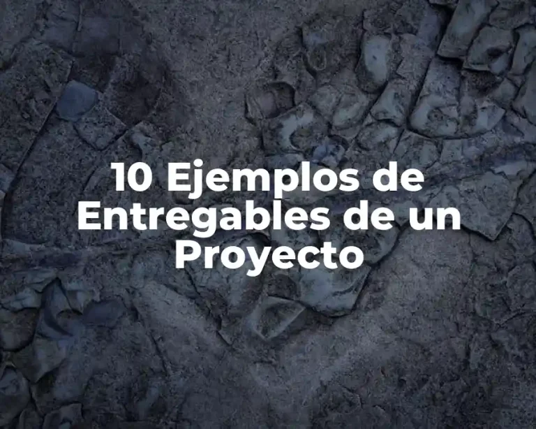 10 Ejemplos de Entregables de un Proyecto