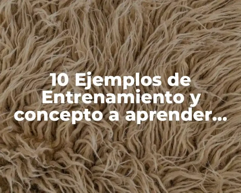 10 Ejemplos de Entrenamiento y concepto a aprender administrar tratamiento