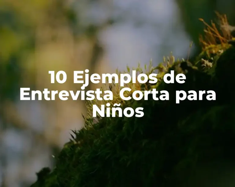 10 Ejemplos de Entrevista Corta para Niños